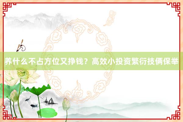 养什么不占方位又挣钱?高效小投资繁衍技俩保举